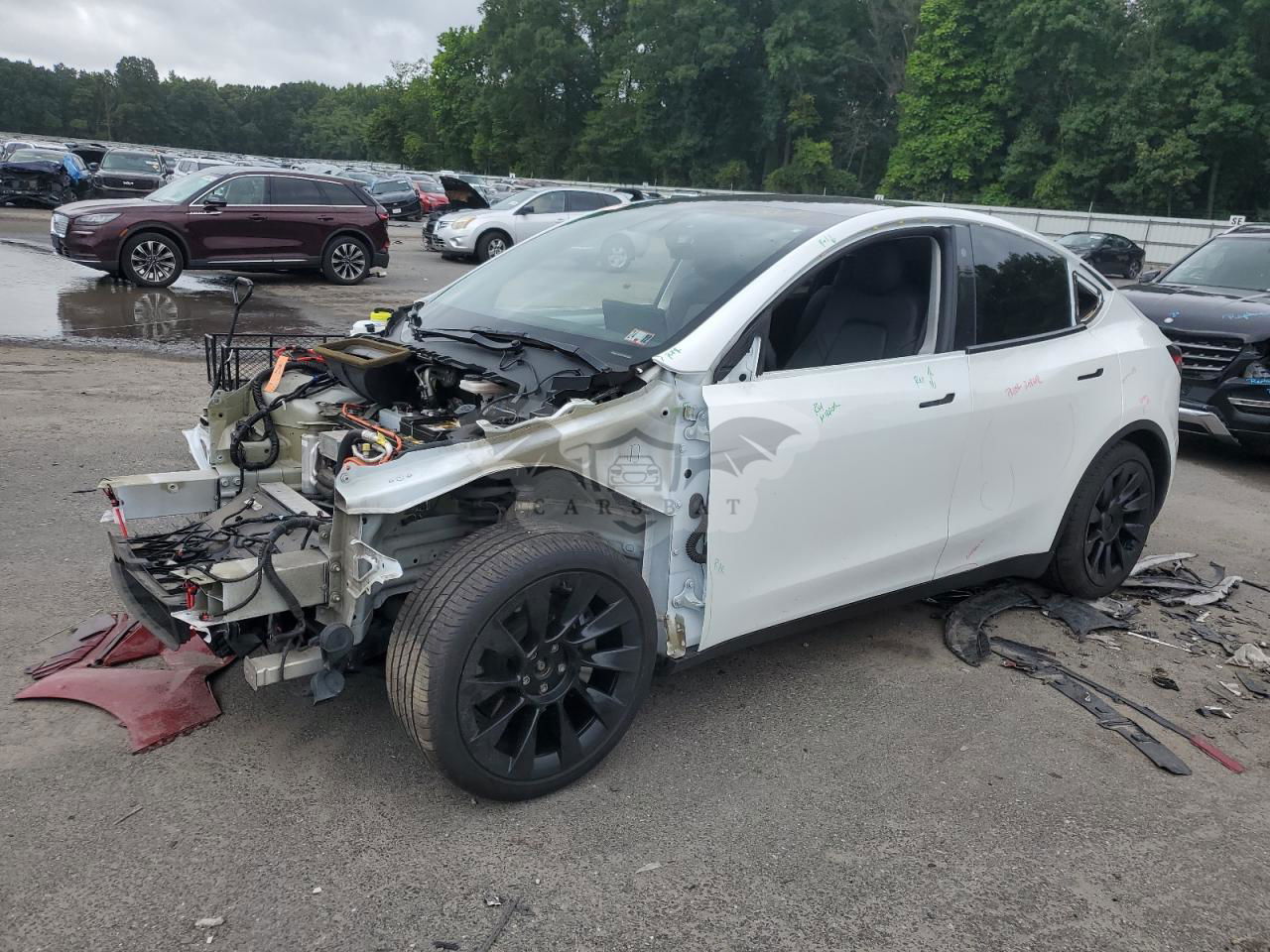 Tesla Model Y 2021