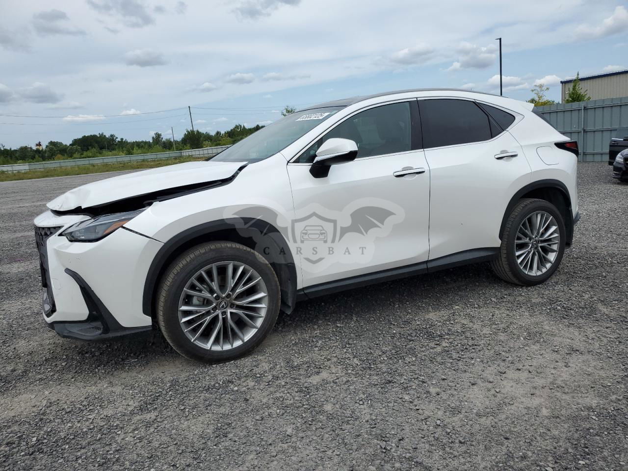 Lexus NX 350H BASE 2.5L  4 2024