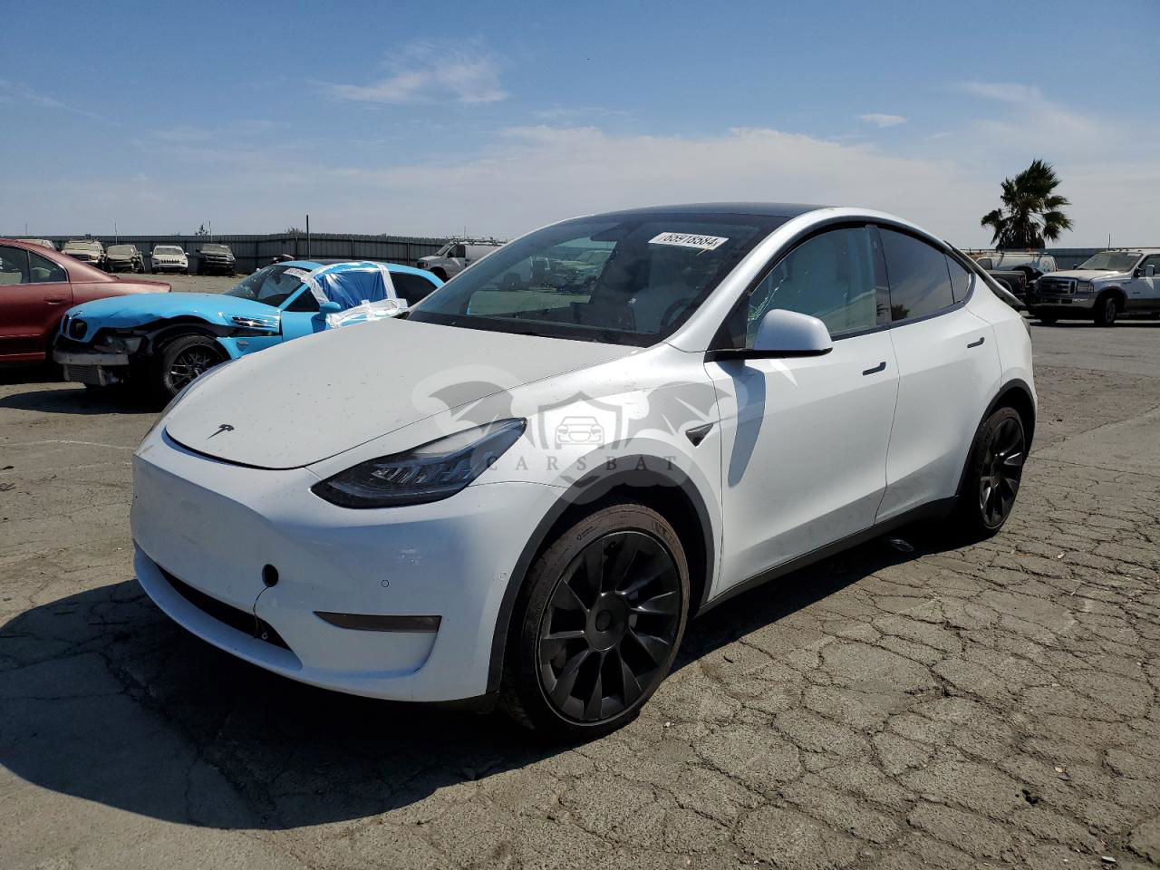 Tesla Model Y 2021