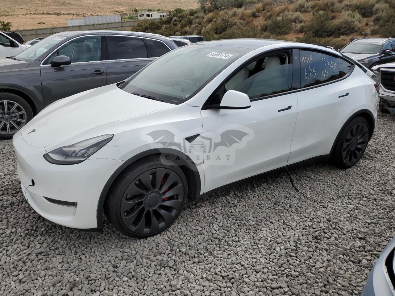 Tesla Model Y 2020