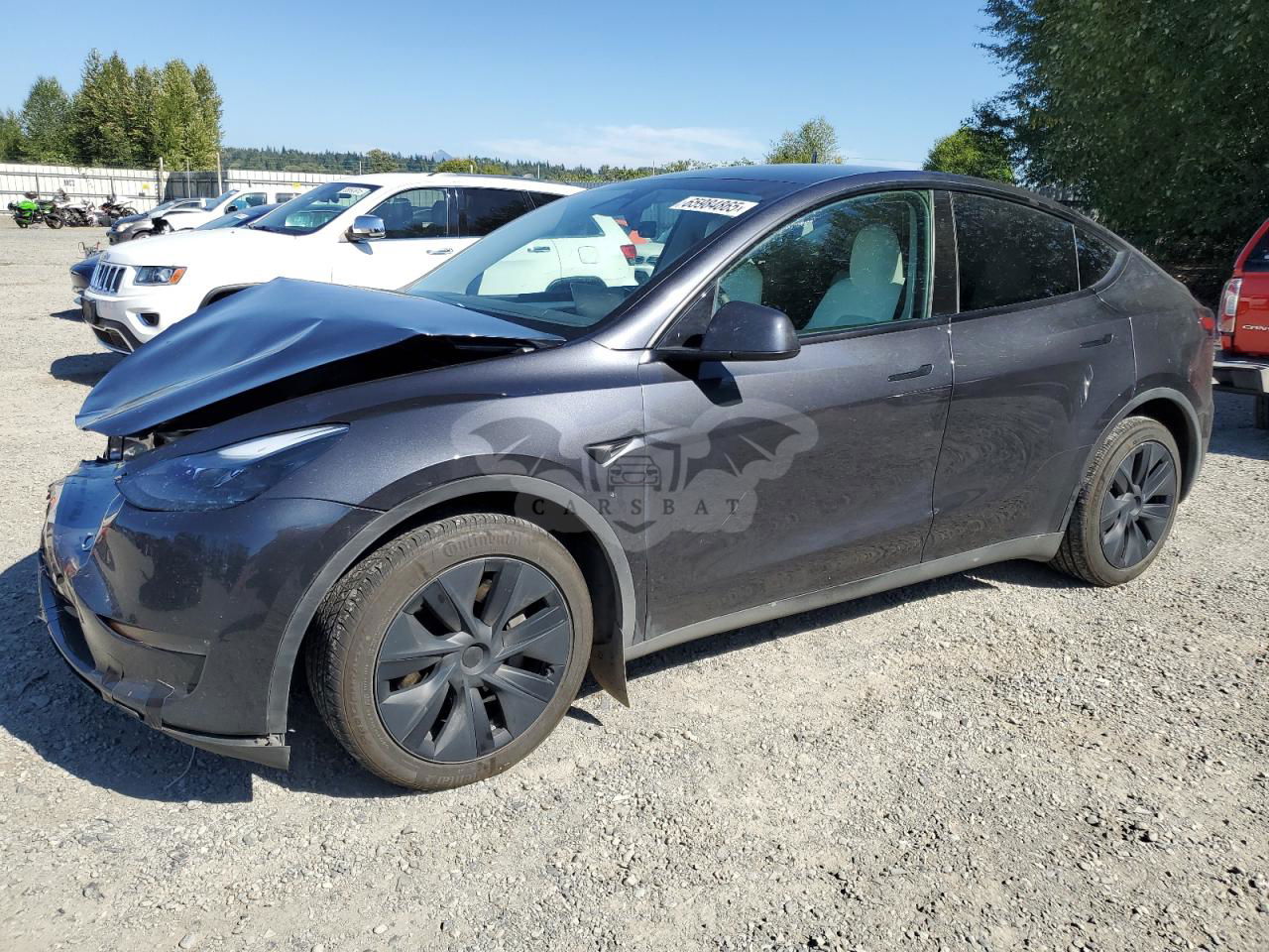 Tesla Model Y 2024