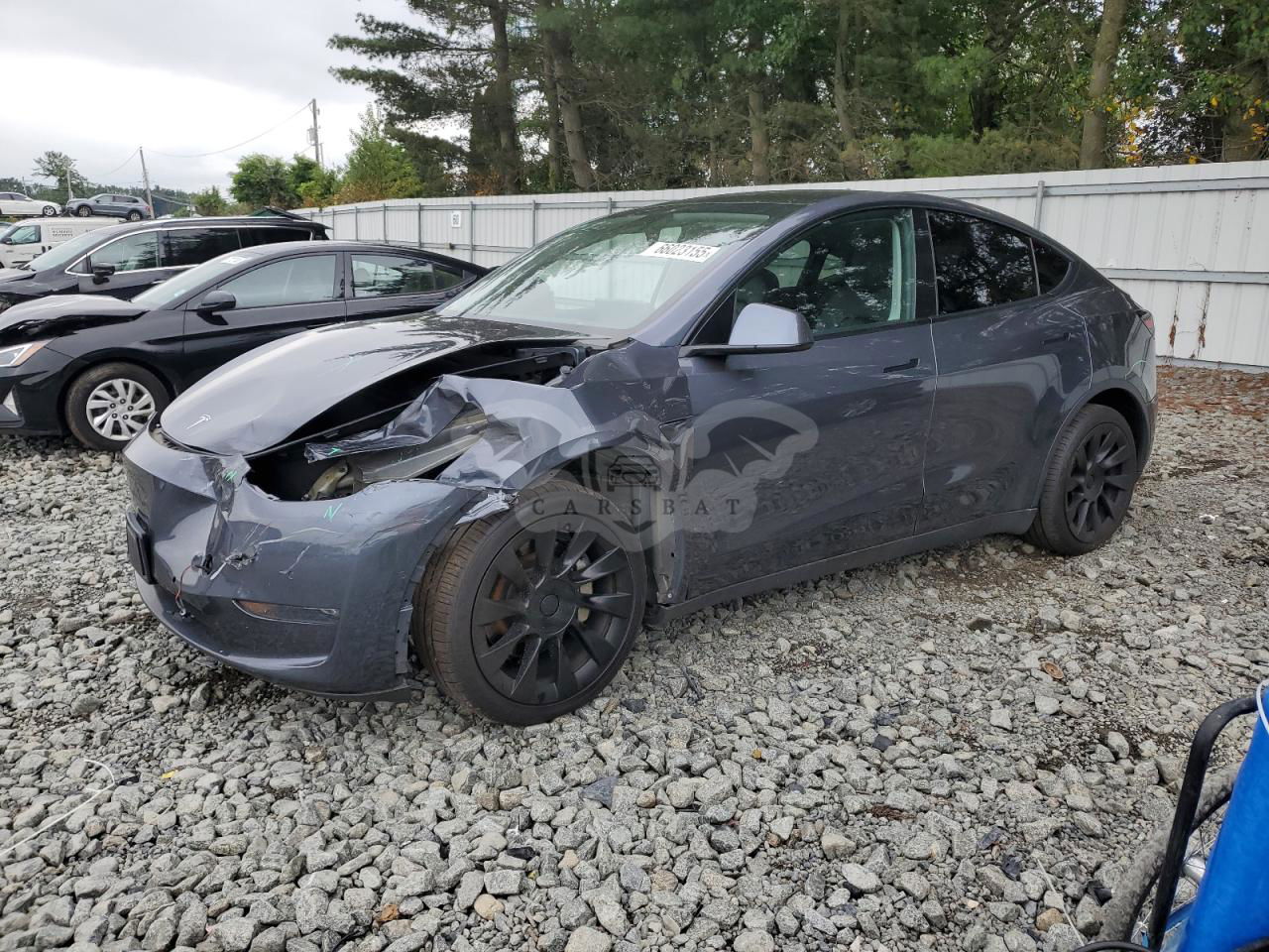 Tesla Model Y 2021