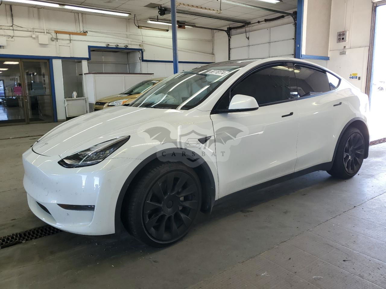 Tesla Model Y 2021