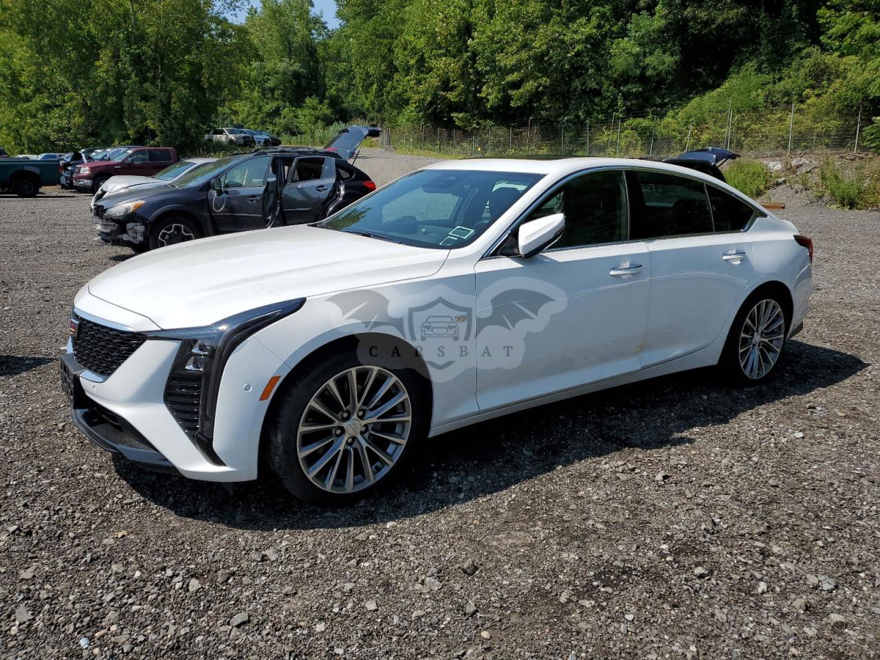 Cadillac CT5 PREMIUM LUXURY 2.0L  4 2025