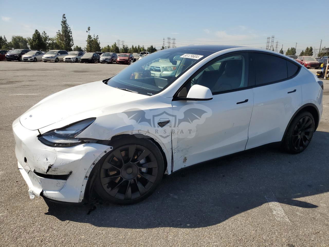 Tesla Model Y 2021