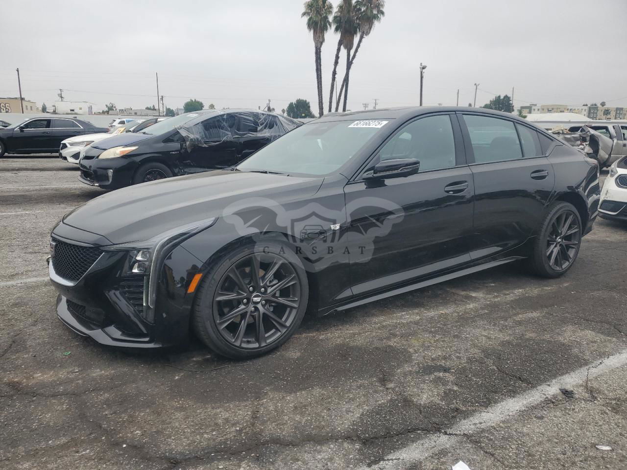 Cadillac CT5 SPORT 2.0L  4 2025
