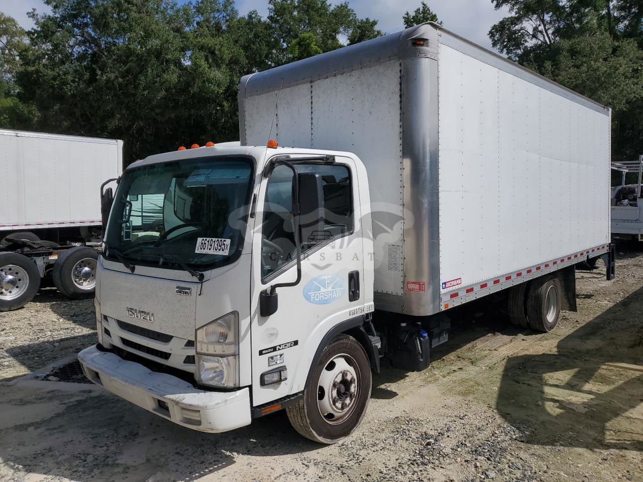 Isuzu NQR 5.2L  4 2019