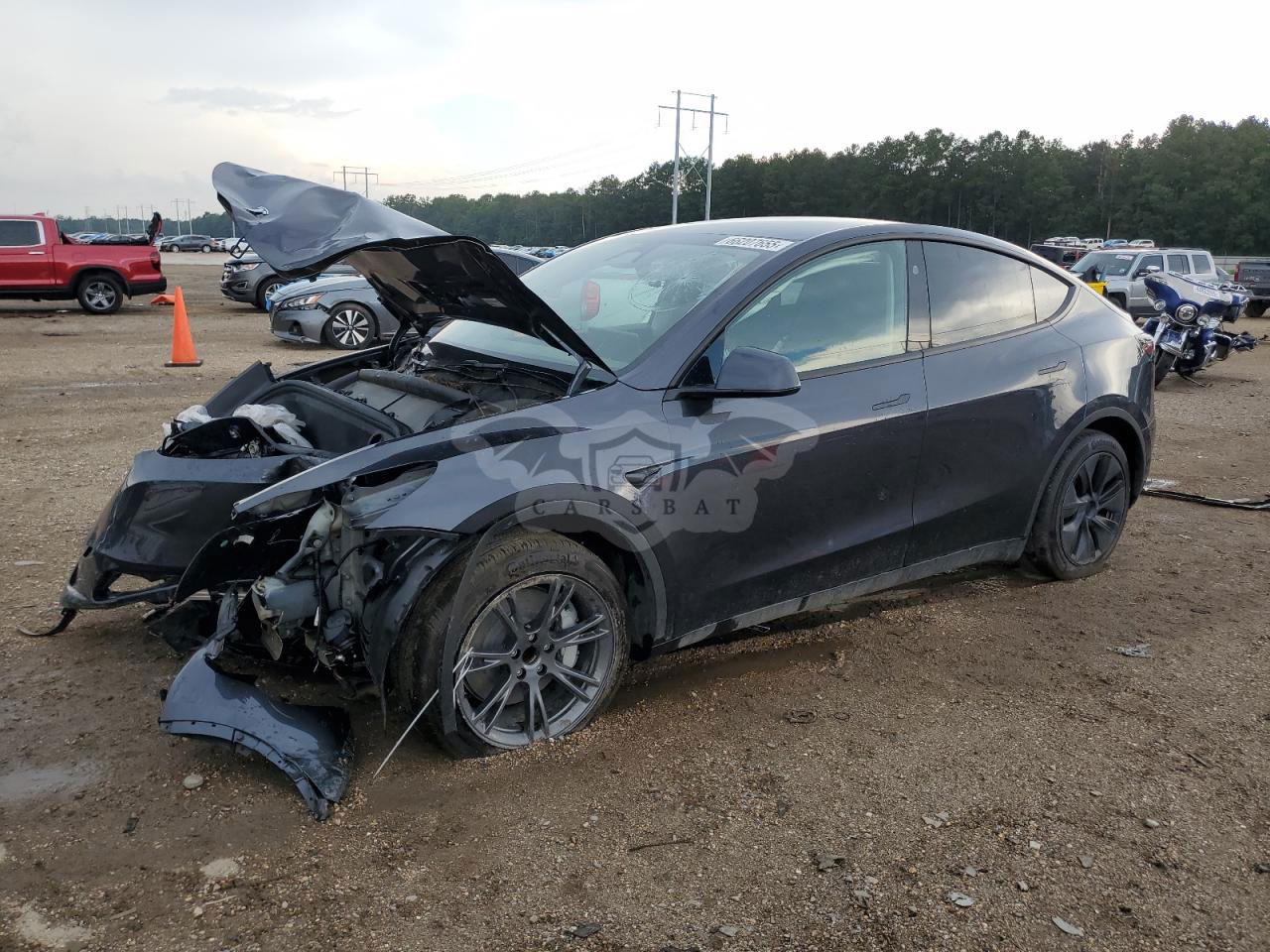 Tesla Model Y 2024
