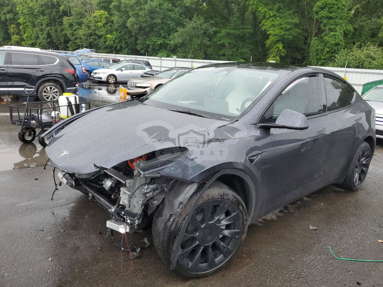 Tesla Model Y 2024