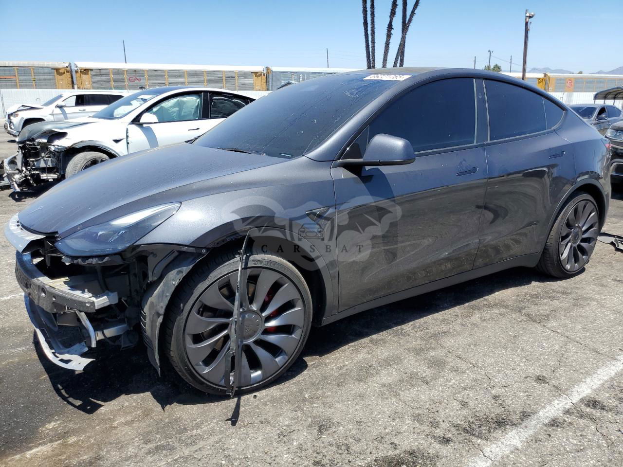Tesla Model Y 2024
