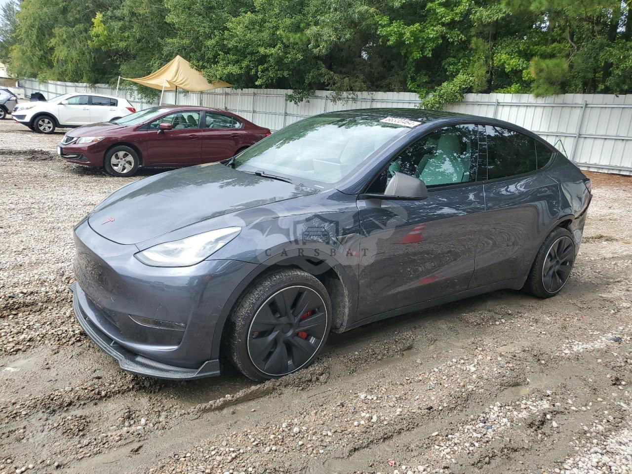 Tesla Model Y 2020