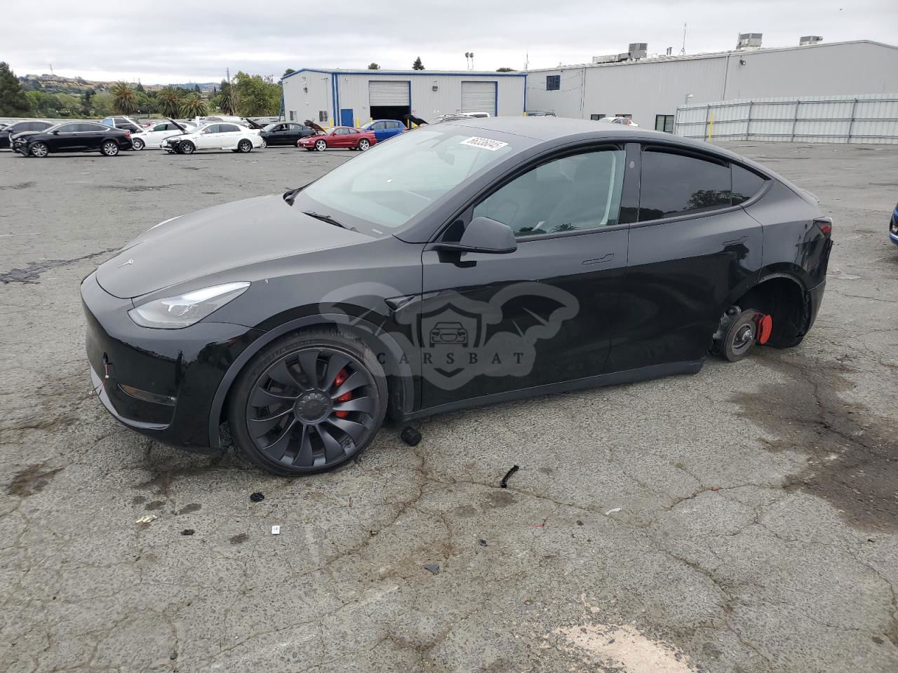 Tesla Model Y 2024