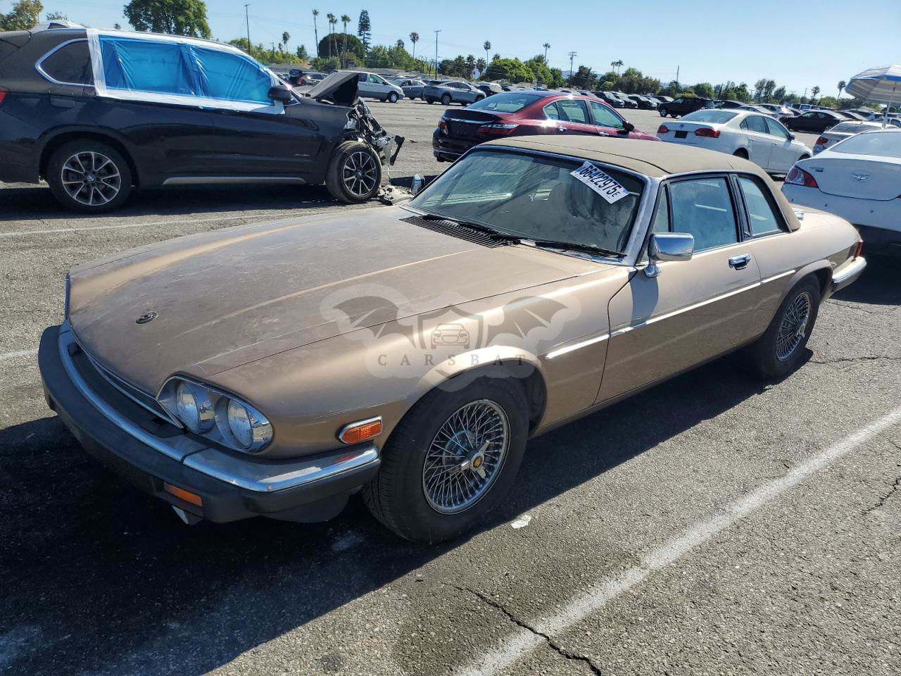 Jaguar XJS HE 5.3L 12 1987
