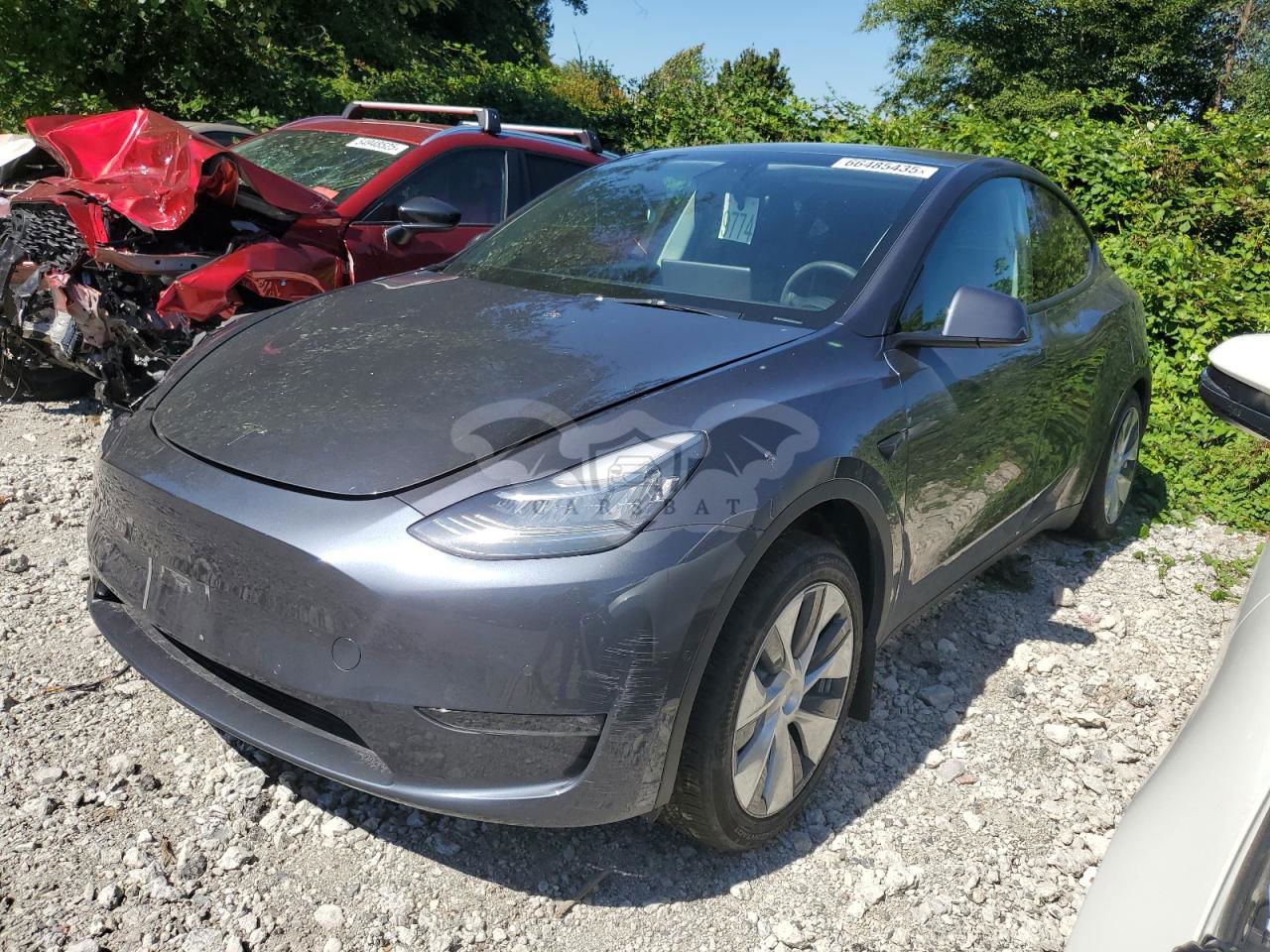 Tesla Model Y 2021