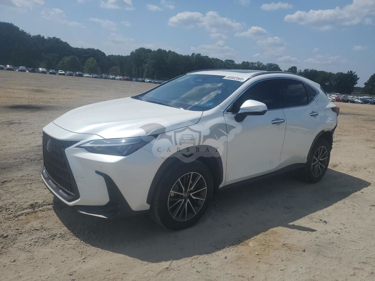 Lexus NX 350H BASE 2.5L  4 2024