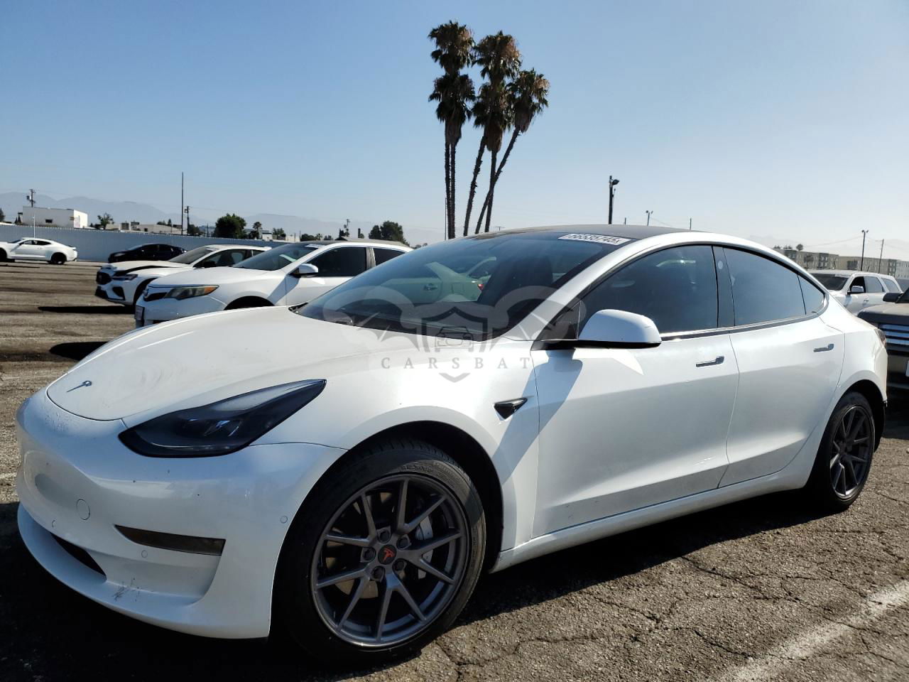 Tesla Model 3 2021