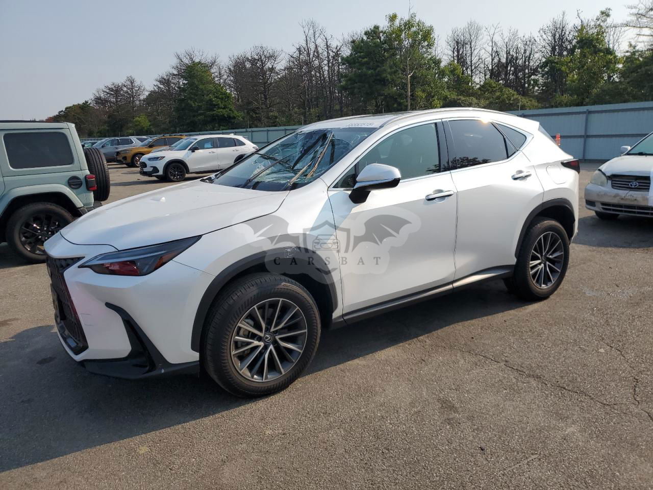 Lexus NX 250 BASE 2.5L  4 2024