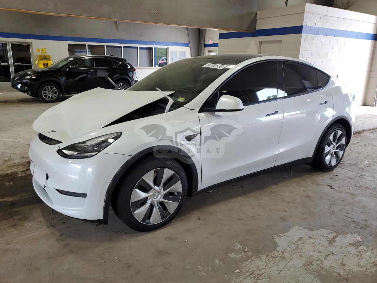 Tesla Model Y 2020