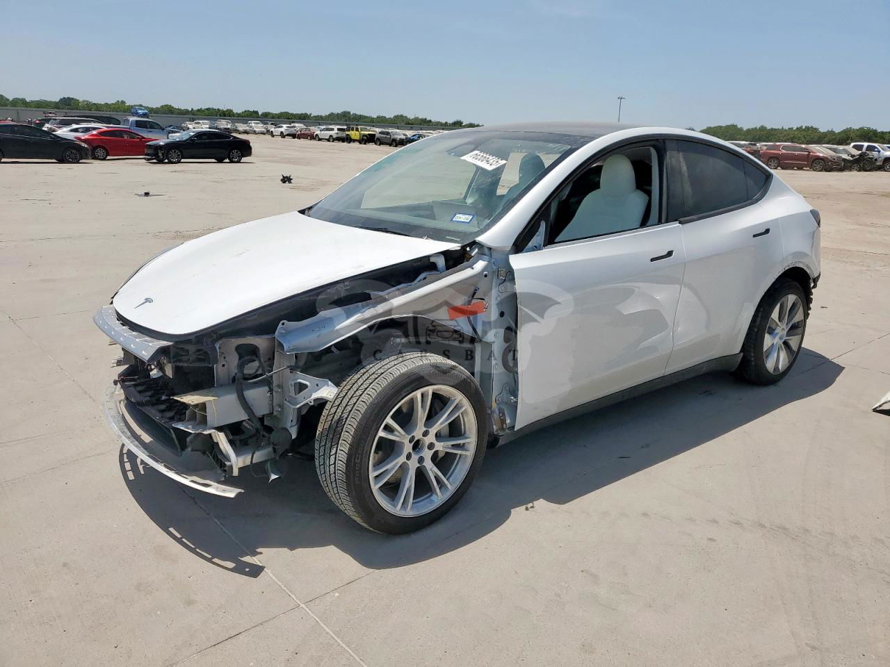 Tesla Model Y 2024