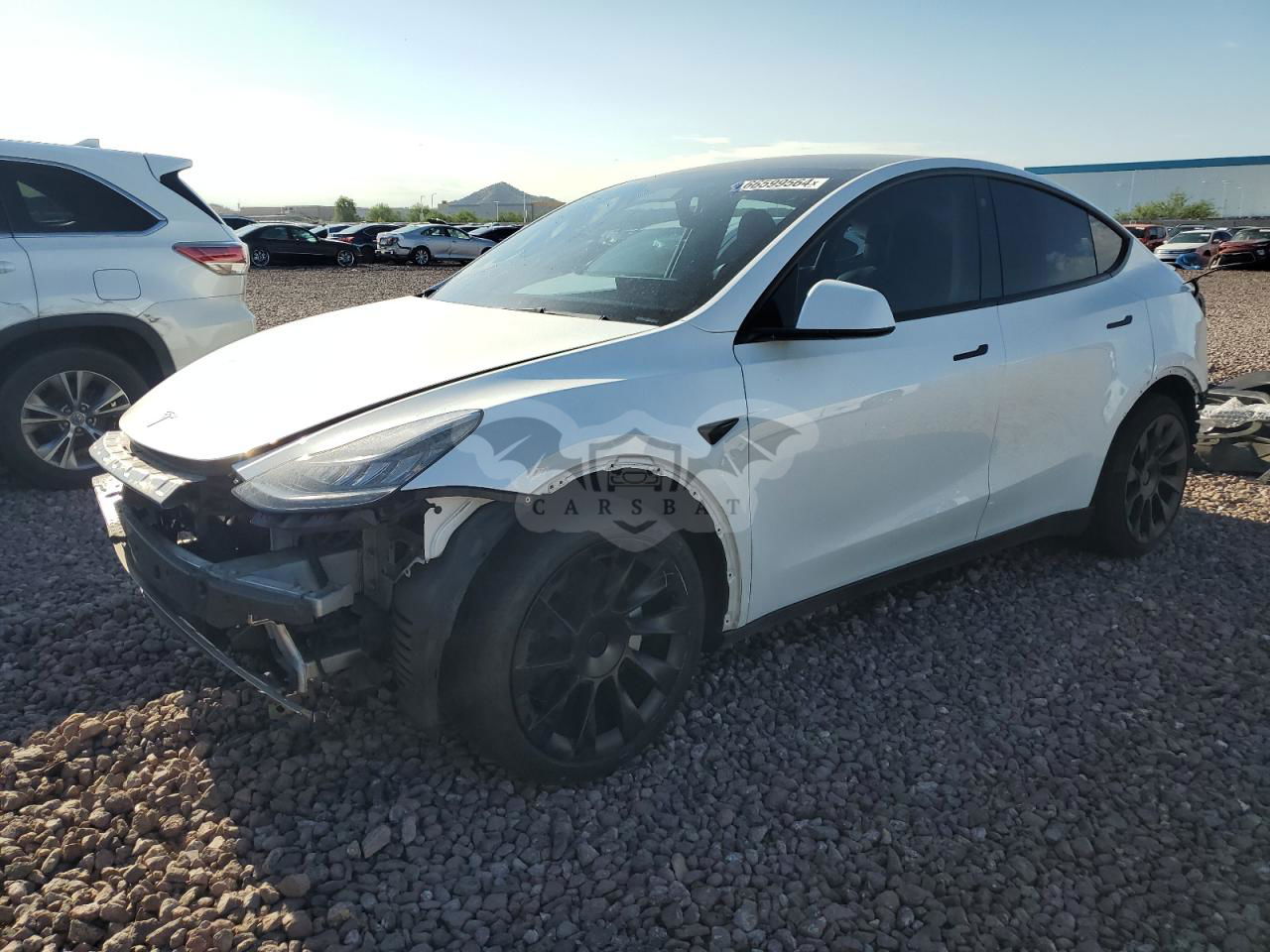 Tesla Model Y 2021