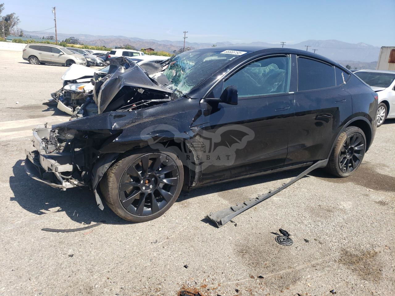 Tesla Model Y 2024