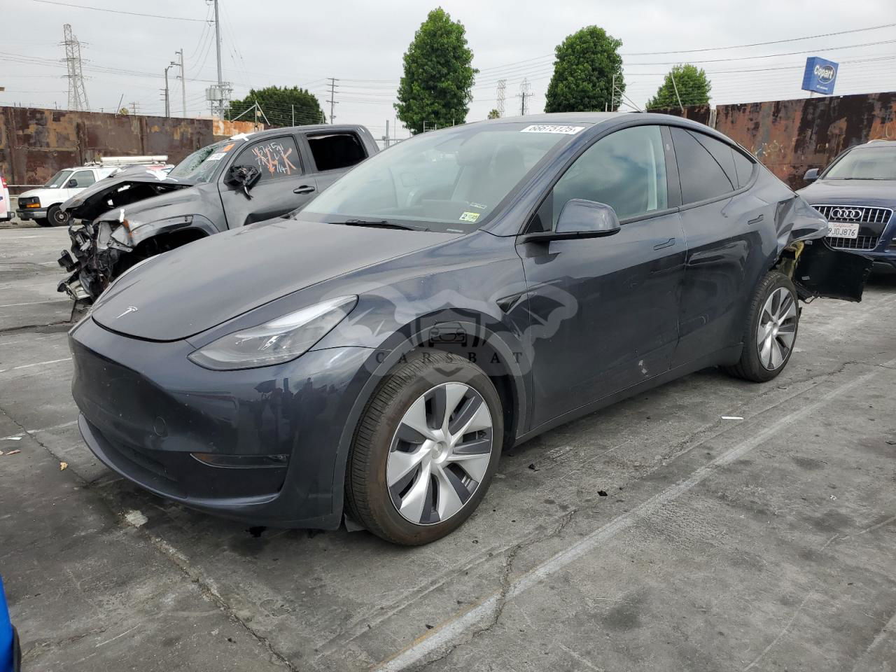 Tesla Model Y 2024