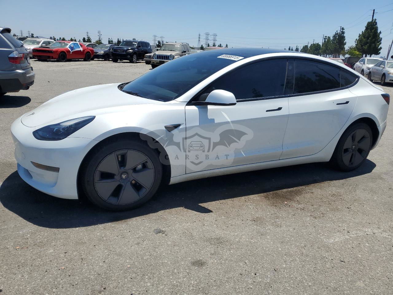 Tesla Model 3 2023