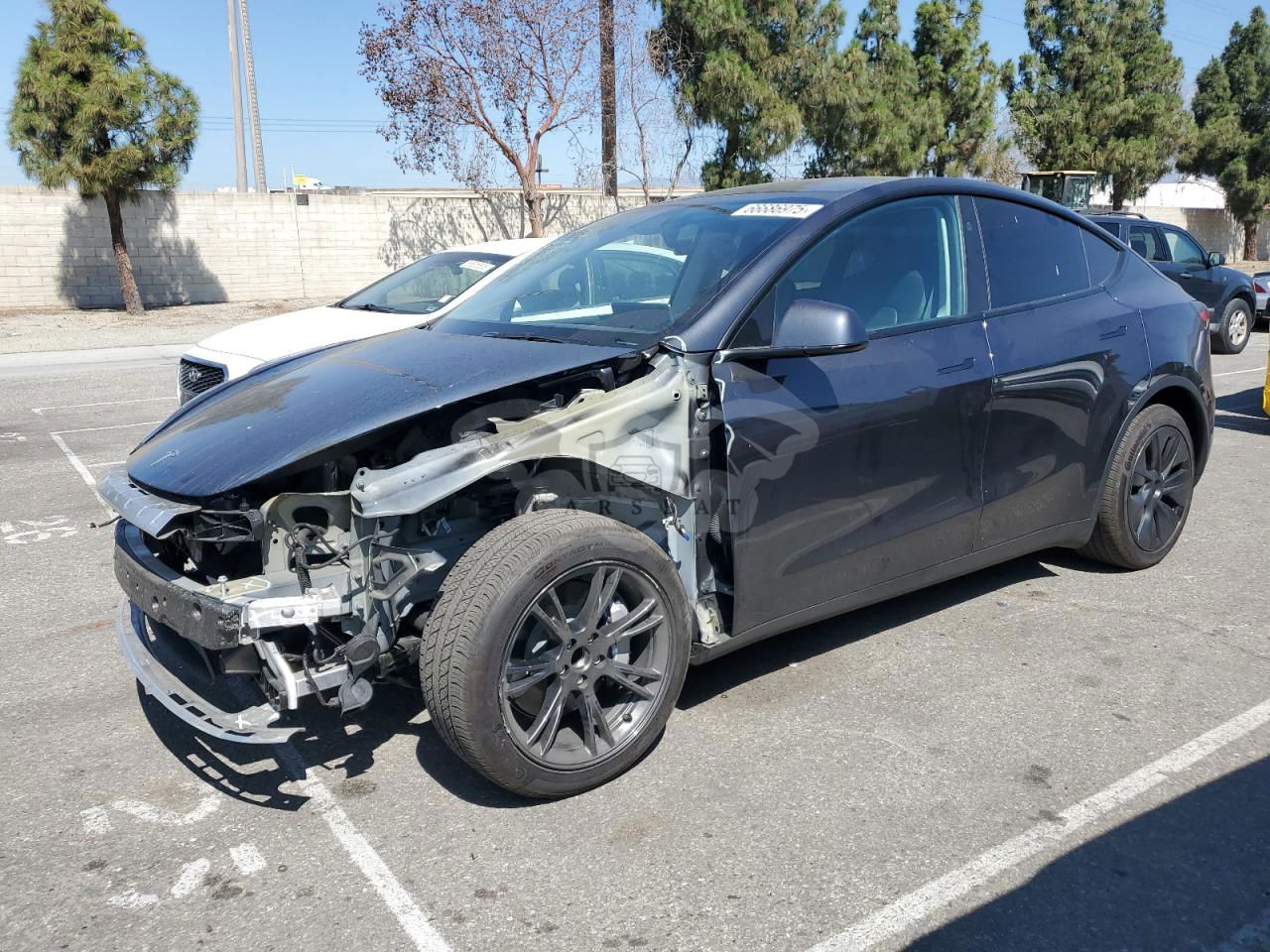 Tesla Model Y 2024