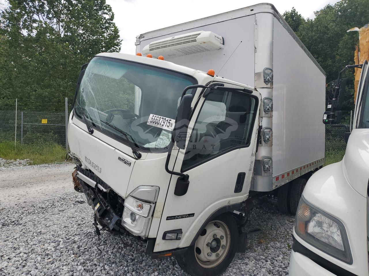 Isuzu NPR 6.6L  8 2025