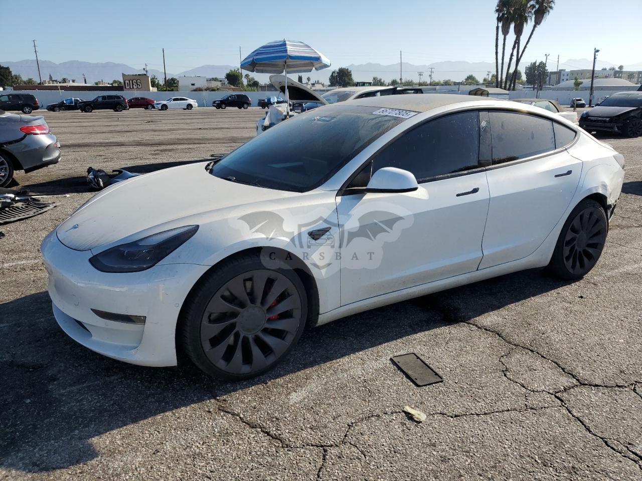 Tesla Model 3 2021