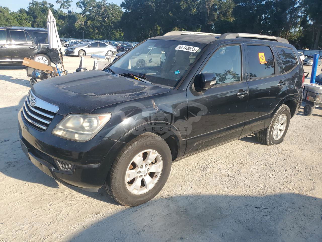 Kia Borrego LX 3.8L  6 2009