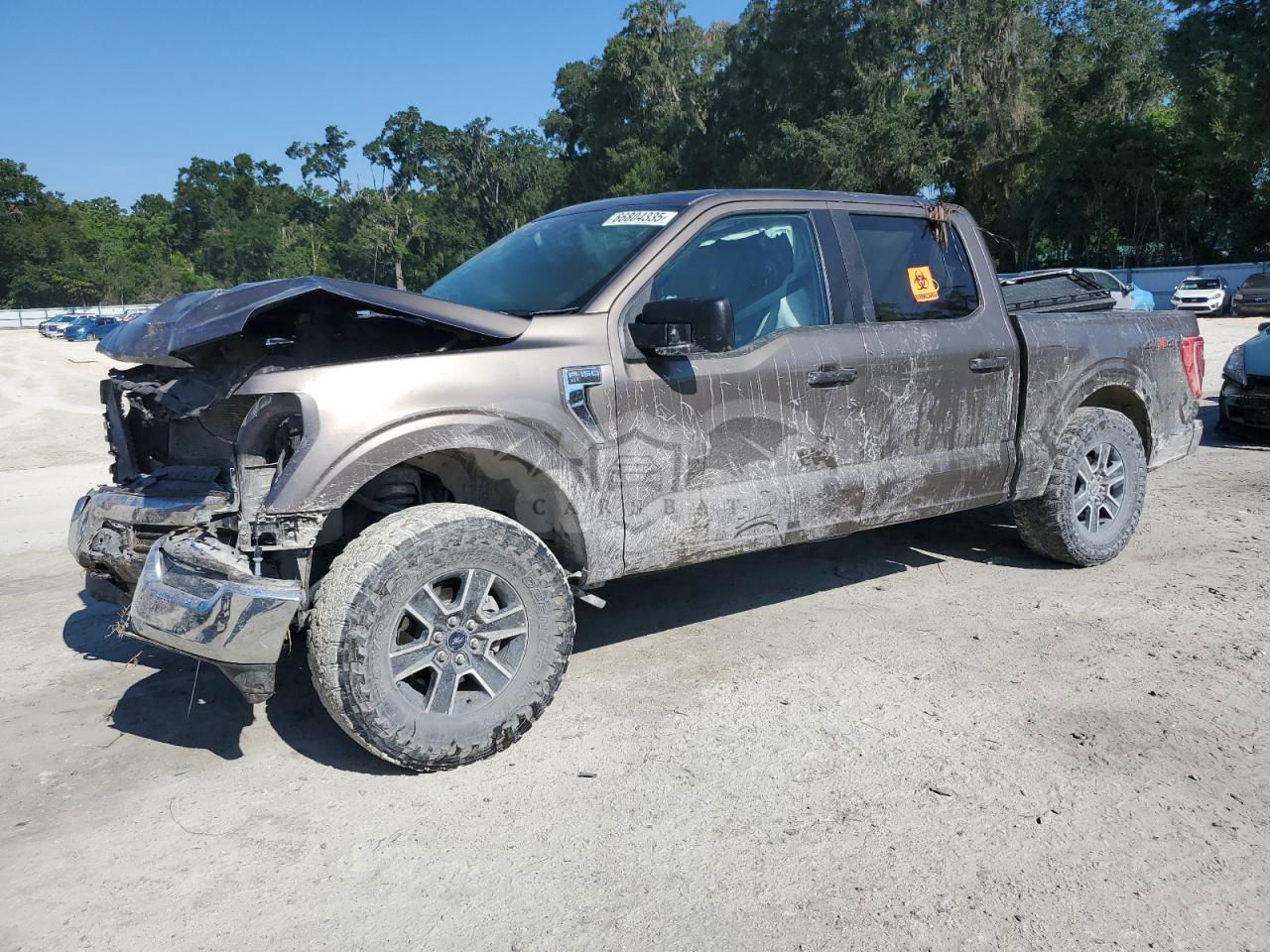 Ford F-150 SUPERCREW 5.0L  8 2023