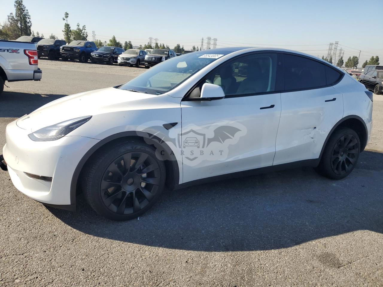 Tesla Model Y 2024