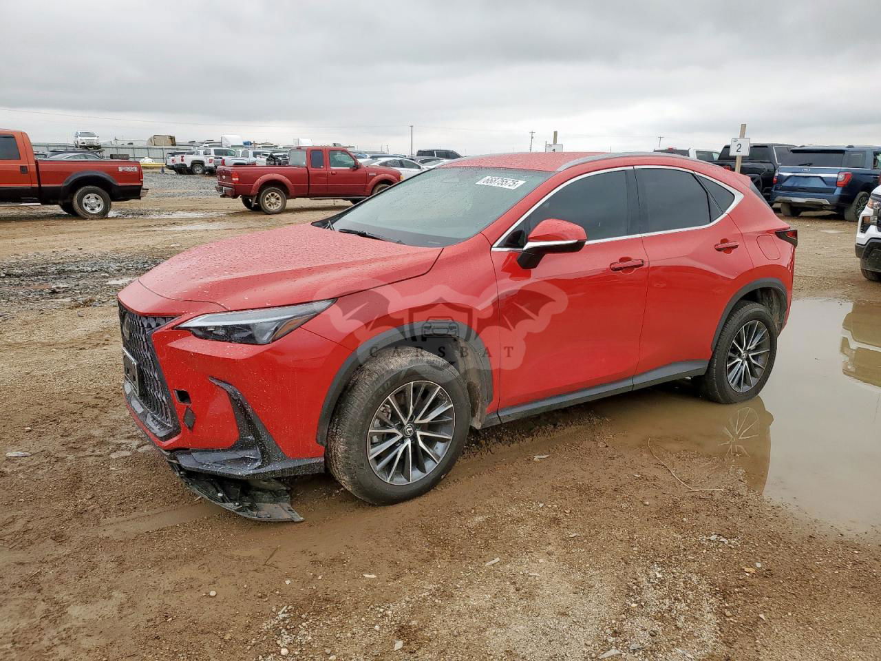 Lexus NX 250 BASE 2.5L  4 2024