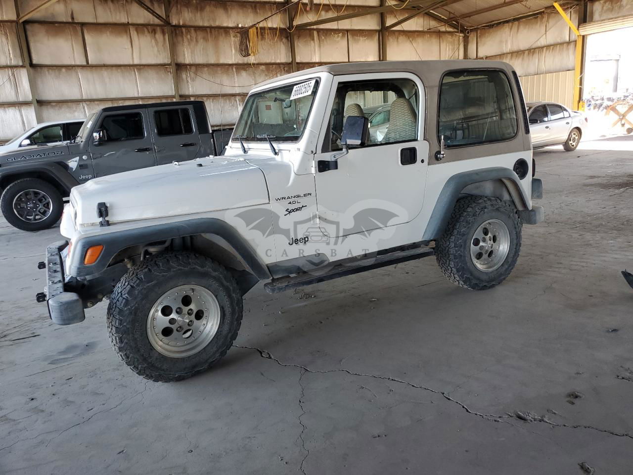 Jeep Wrangler SPORT 1999
