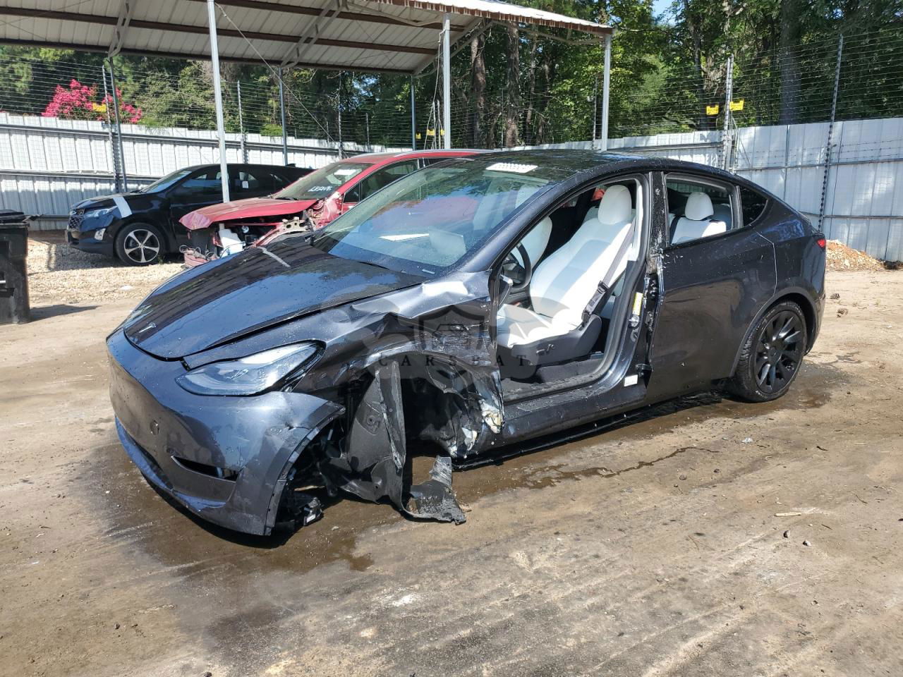 Tesla Model Y 2024