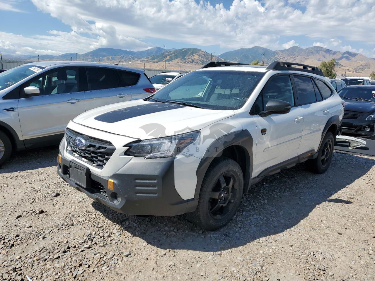 Subaru Outback WILDERNESS 2.4L  4 2022