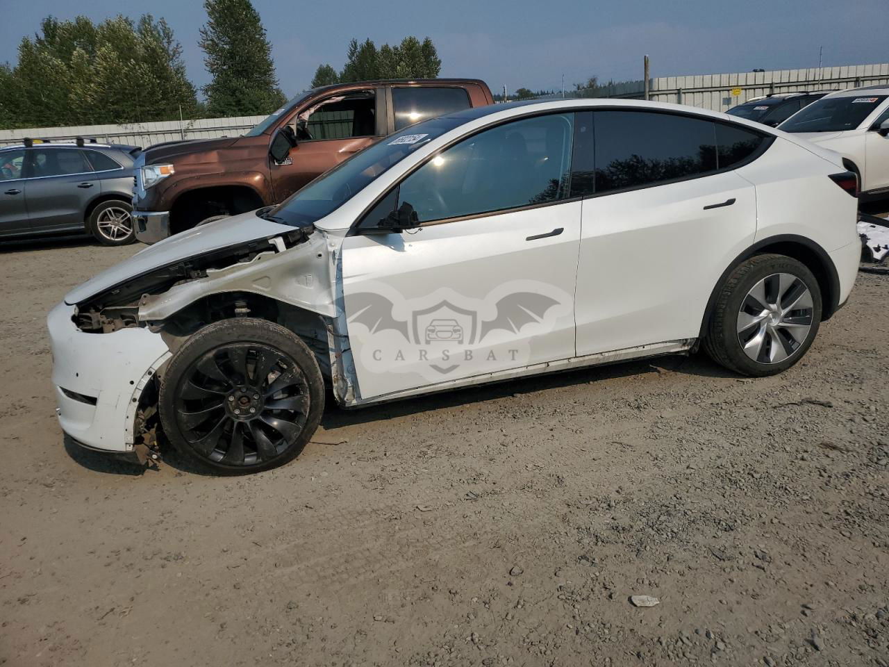 Tesla Model Y 2020