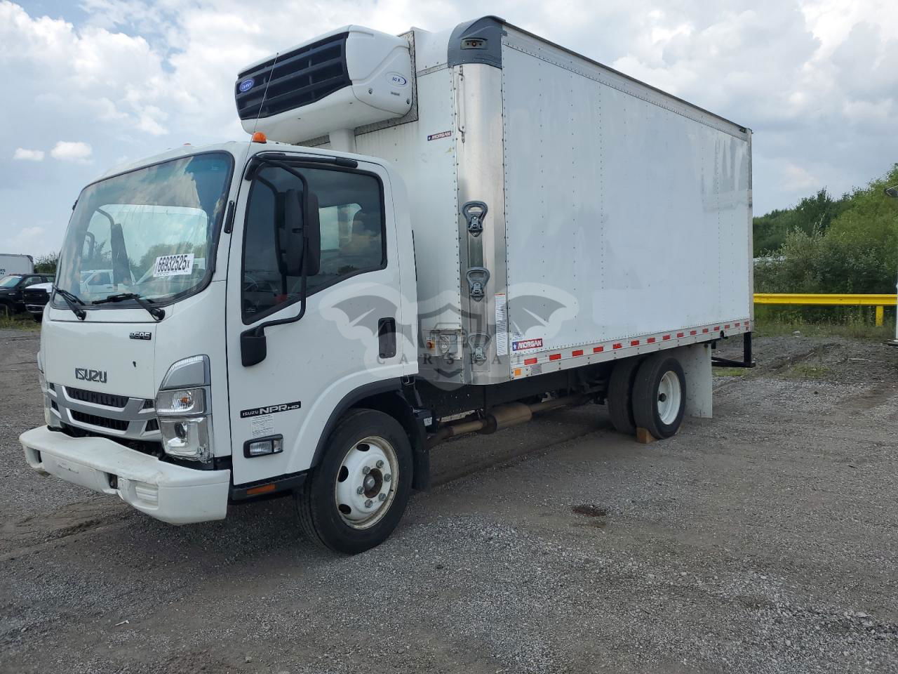 Isuzu NPR 6.6L  8 2023