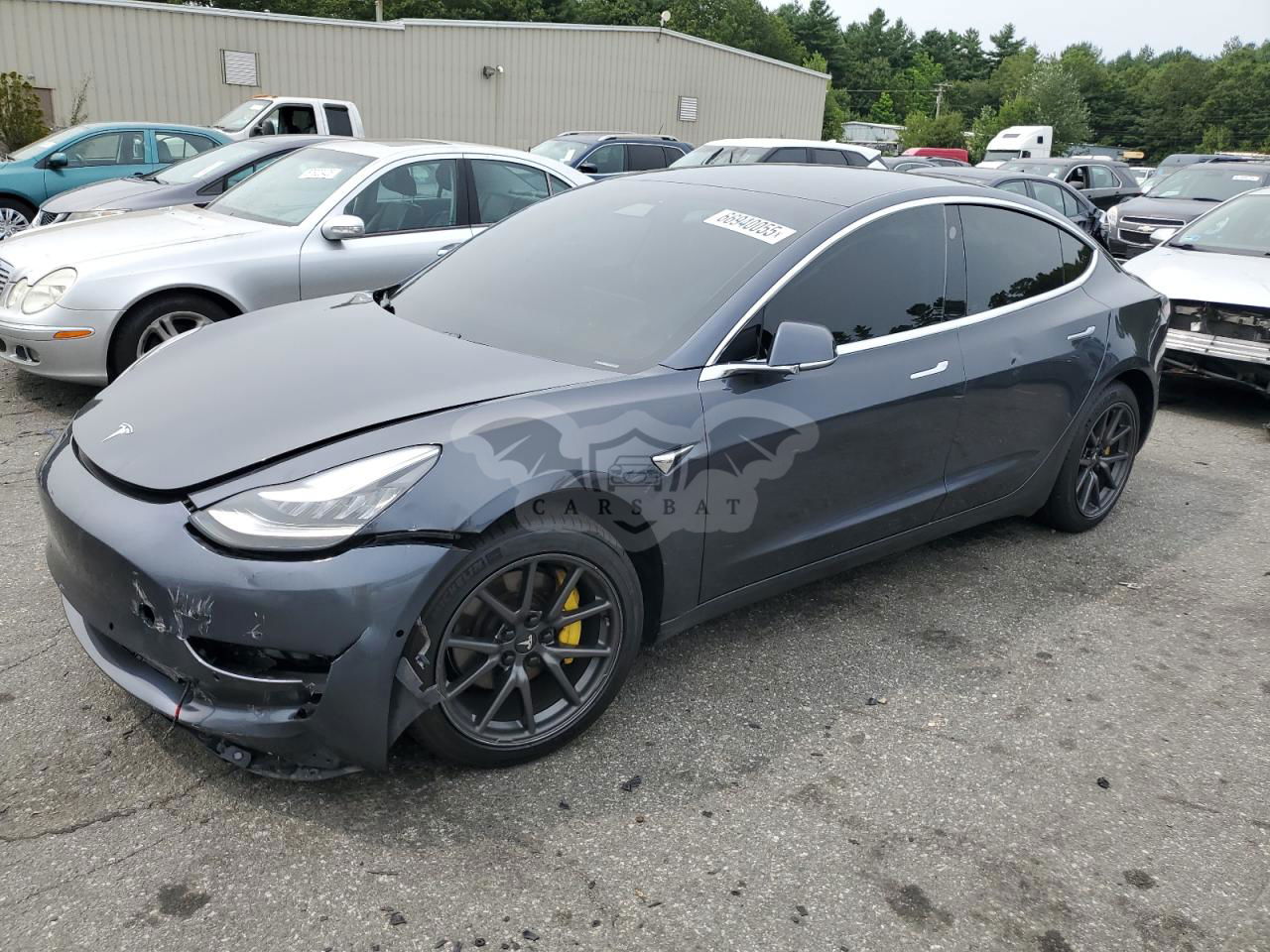 Tesla Model 3 2019