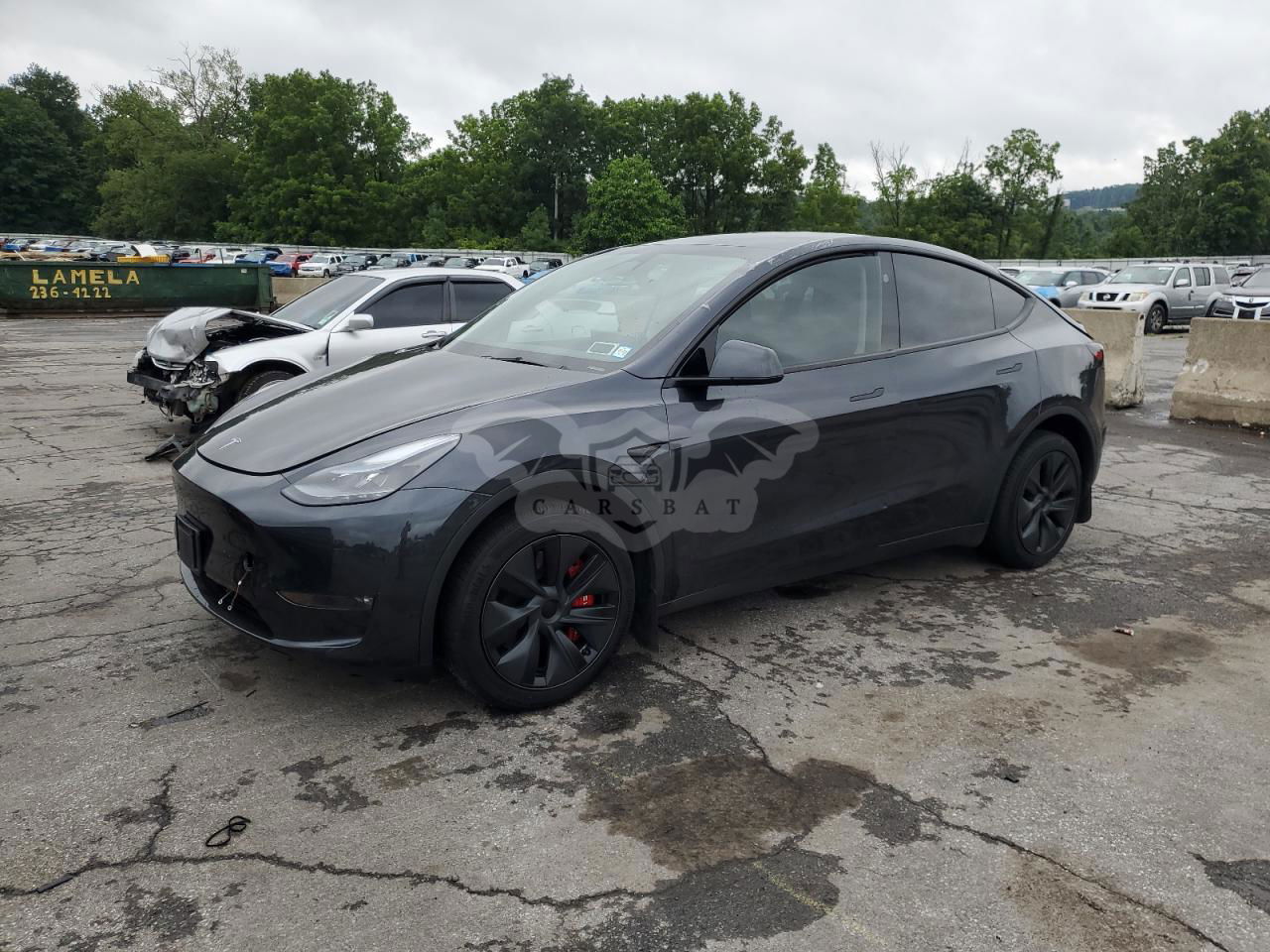 Tesla Model Y 2024