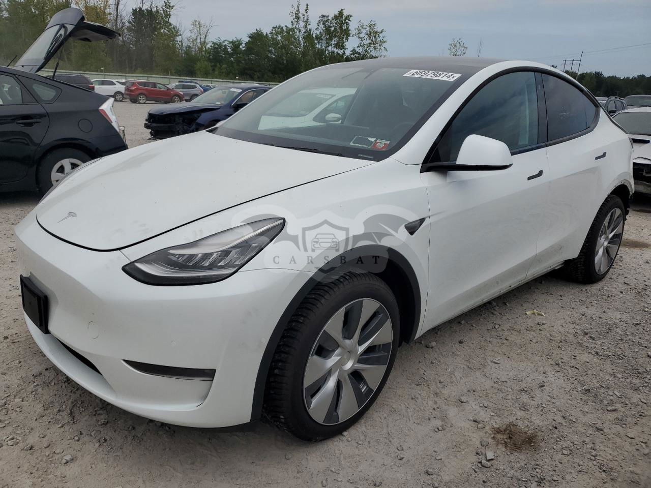 Tesla Model Y 2020