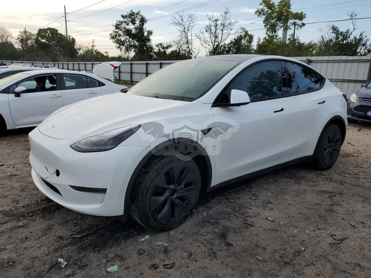 Tesla Model Y 2024