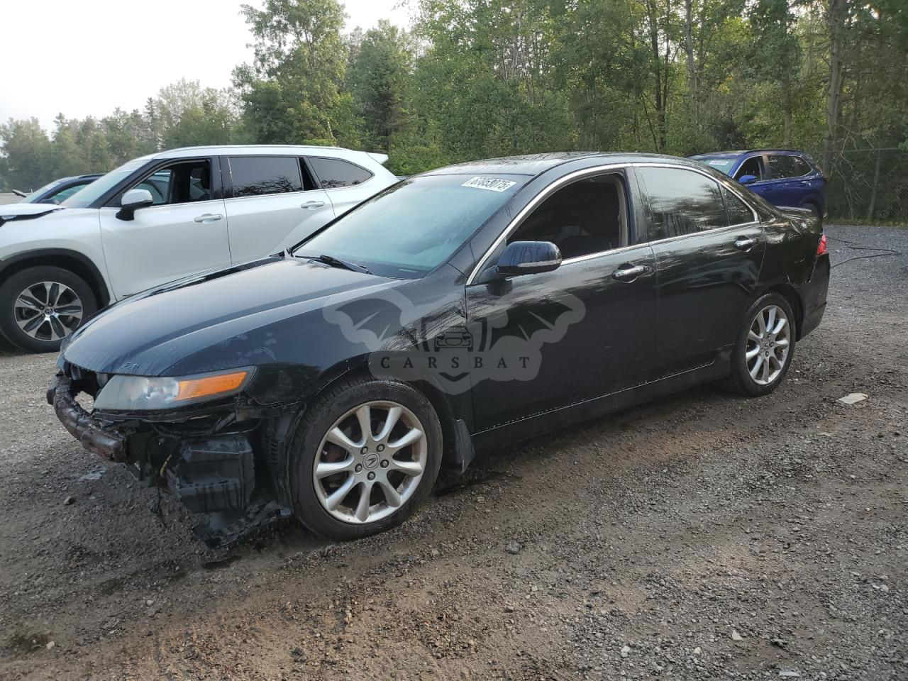 Acura TSX 2.4L  4 2006