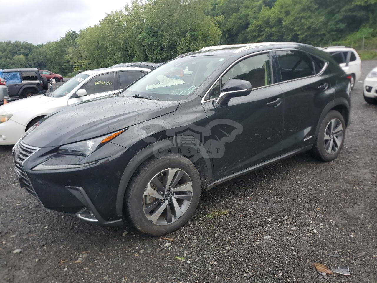 Lexus NX 300H 2.5L  4 2020