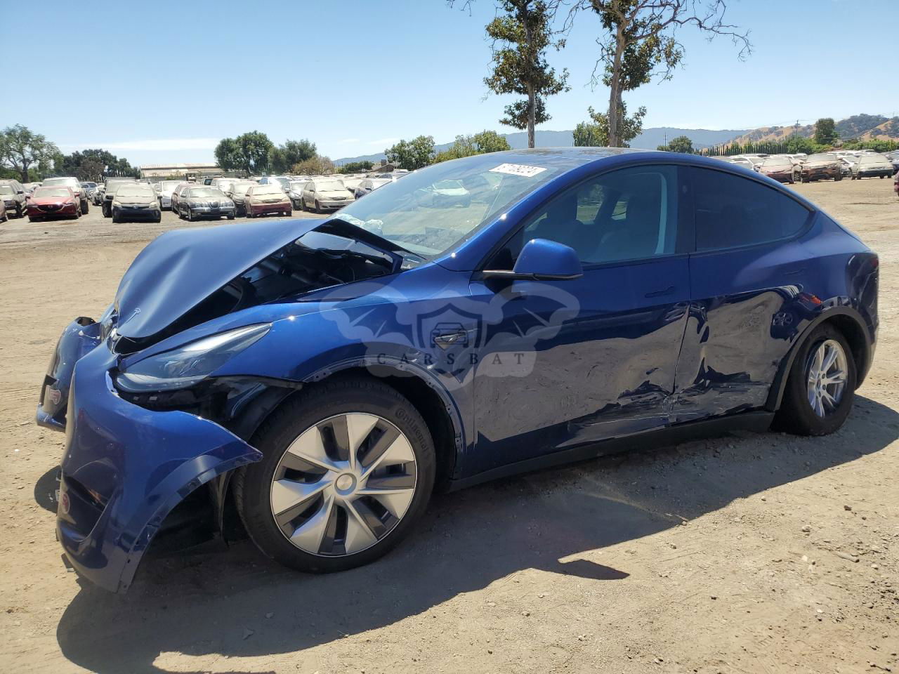 Tesla Model Y 2024