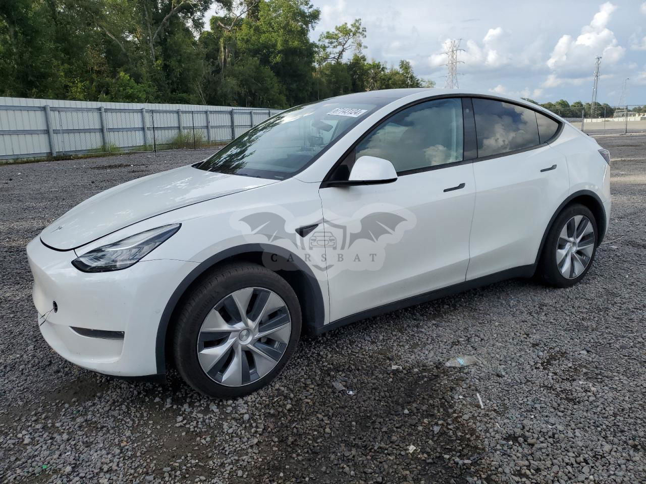 Tesla Model Y 2020