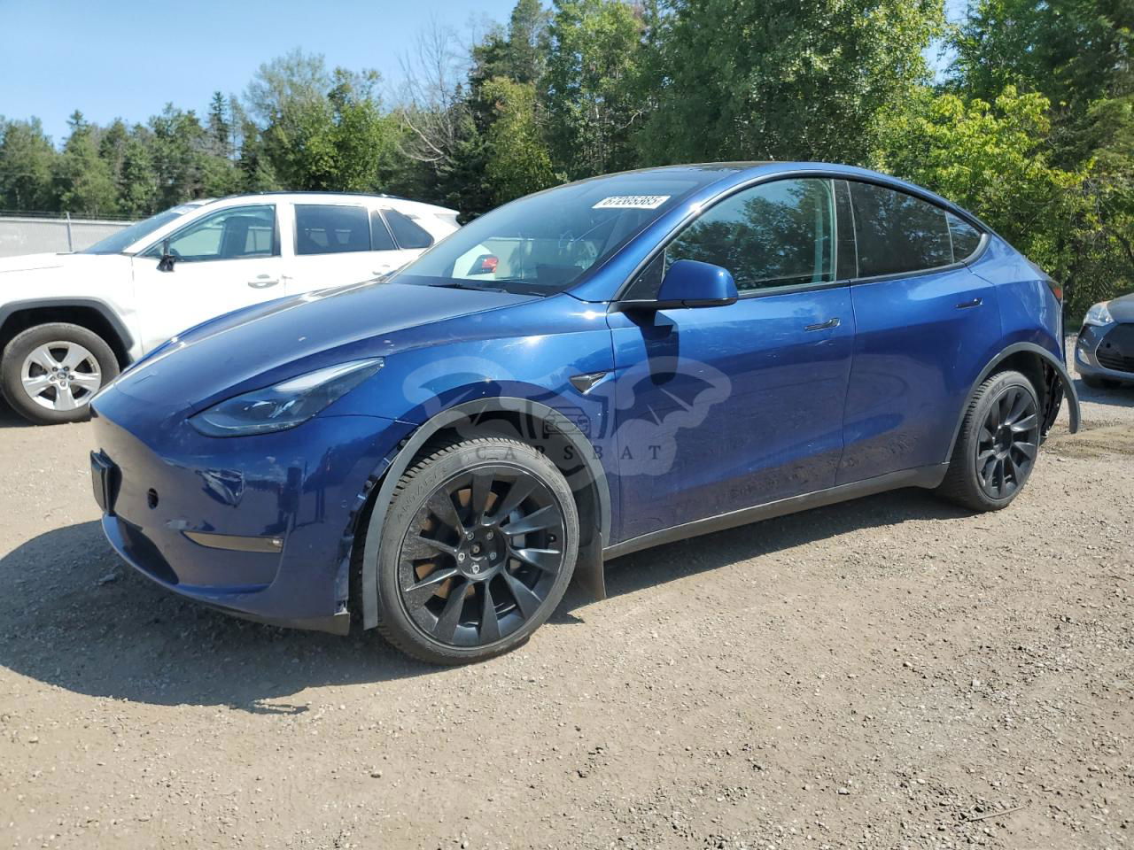 Tesla Model Y 2021
