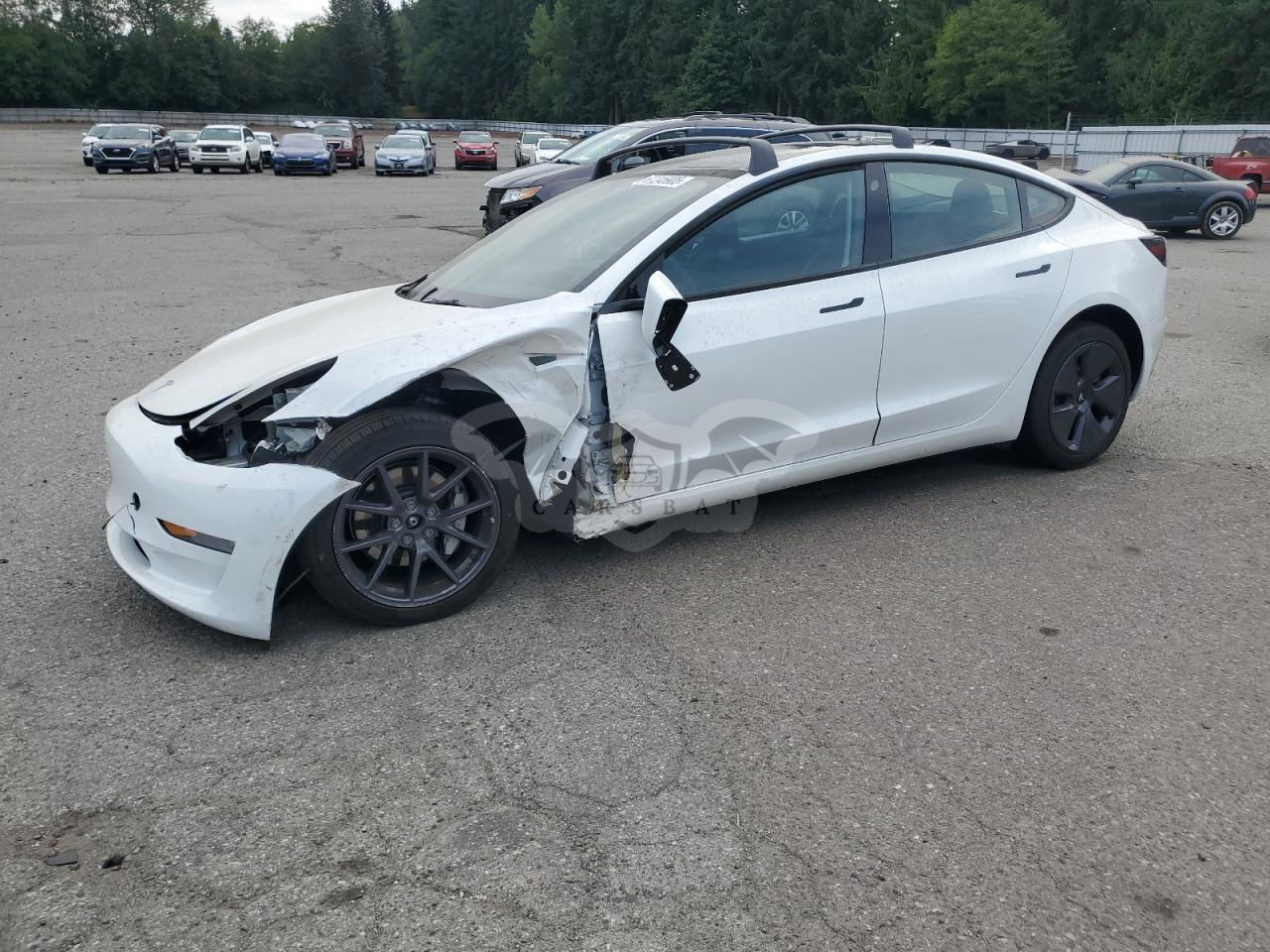Tesla Model 3 2022