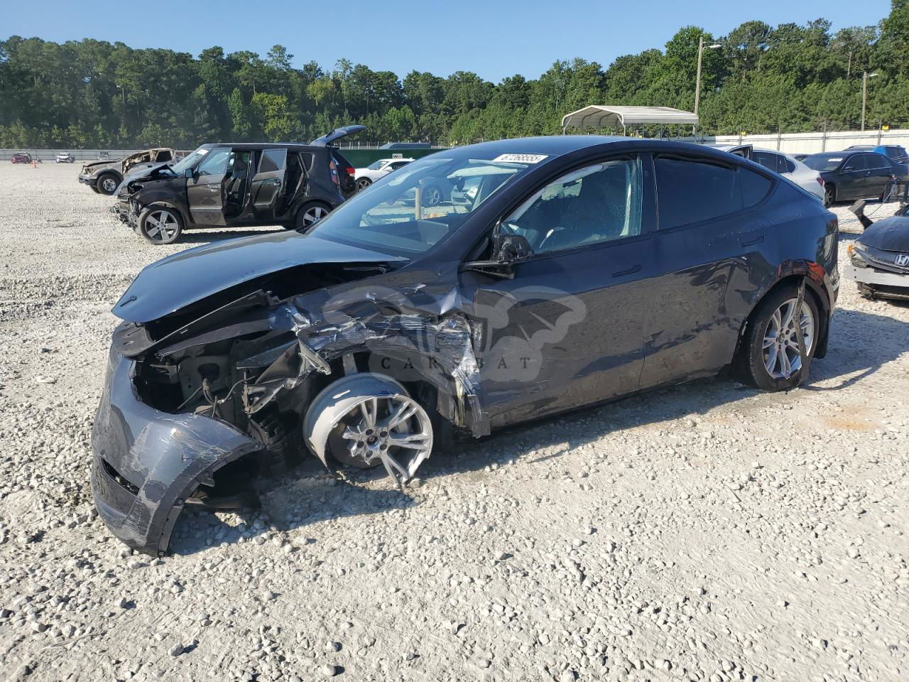 Tesla Model Y 2024